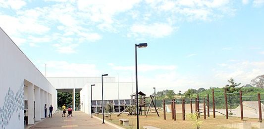 Vianna quer versão local do Pronac