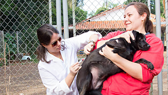 Divisão programa campanha para a desmistificação de castrações