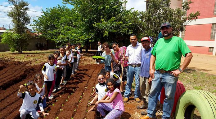 Cidade buscará em hortas o ‘fim da fome’