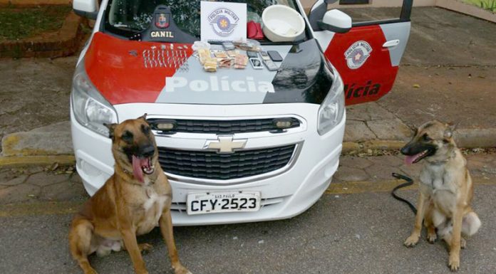 Polícia Militar prende o ‘patrão’ do tráfico de drogas na região da CDHU