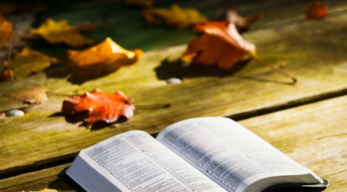 Stand da Bíblia será em dezembro e terá exposições e vendas