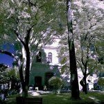 ‘Revelando Belezas Invisíveis’ está agora no Centro Cultural