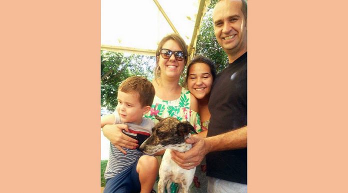 1º evento do projeto ‘Adotar é Legal’ tem resultado aprovado