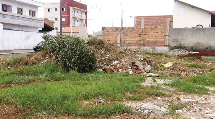 Mais ‘eficientes’, novos ecopontos serão levados a 8 locais da cidade