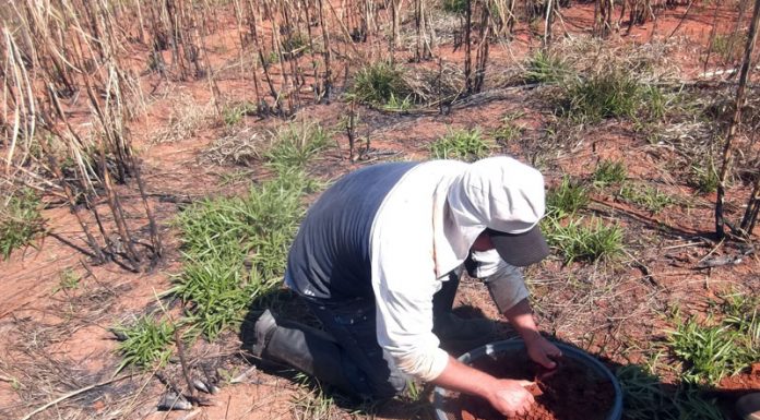 Município possui dois sítios arqueológicos