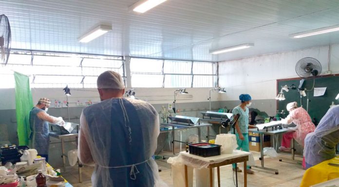 Secretaria da Saúde promove 235 castrações de cães e gatos