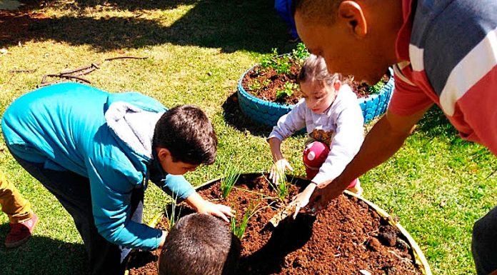 Projeto ‘Horta na Escola’ soma servidores e alunos em ação