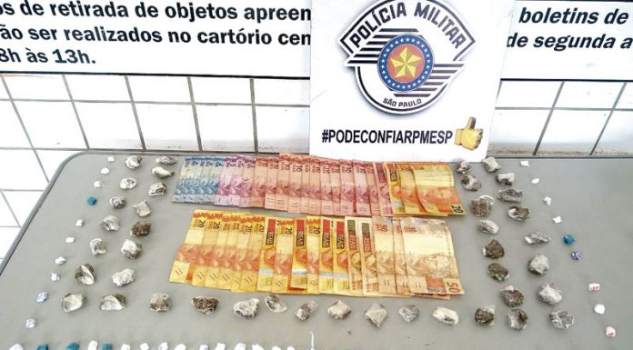 Cães farejadores apoiam em ações de combate ao tráfico