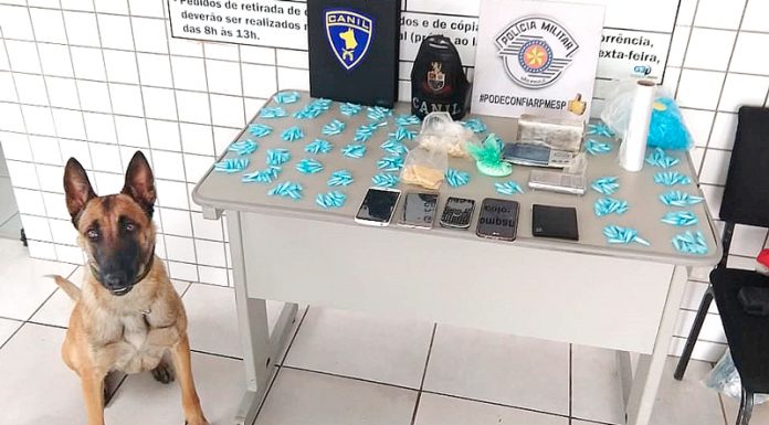 PM prende 5 pessoas por tráfico de drogas; entre eles, 2 menores