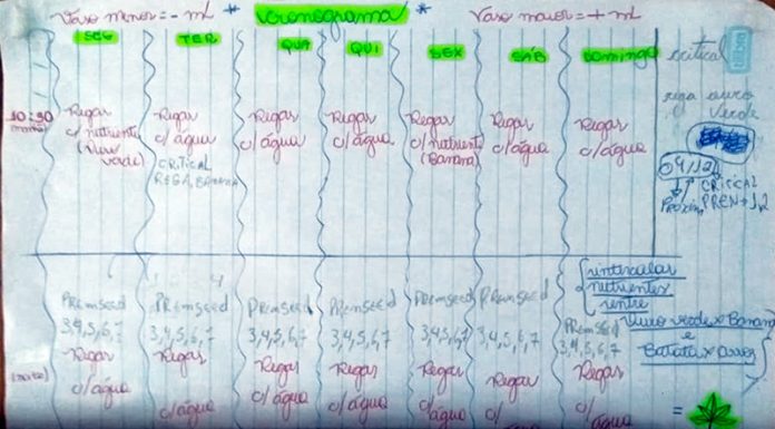 Pés de maconha e manual de cultivo são apreendidos em casa na CDHU