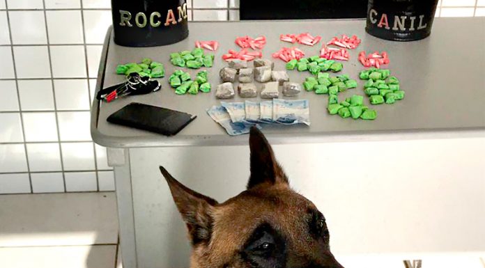 PM detém jovem com mais de cem porções de drogas na “FMG”