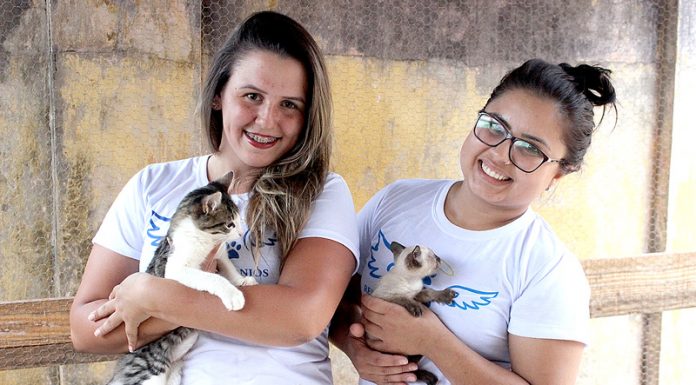 215 cachorros ganham novos lares em primeiro ano de vida de projeto
