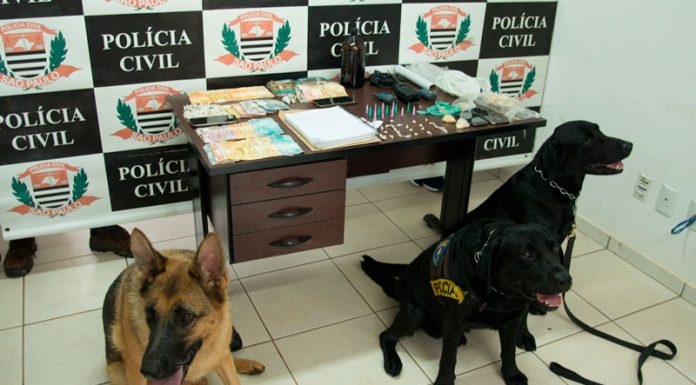 Megaoperação policial prende oito pessoas e recolhe porções de drogas