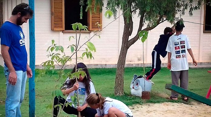 Semana do Meio Ambiente mobiliza população com ações diversificadas