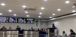 Vereadores acatam a criação de dia municipal para combater feminicídio