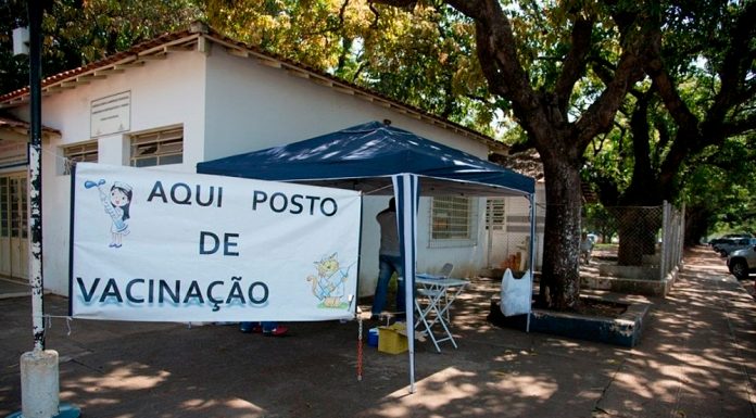 Campanha de vacinação para cães e gatos ainda tem doses