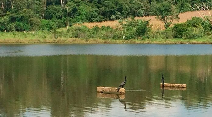 Parque Maria Tuca fica aberto à população no fim de semana