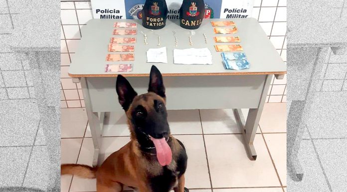 Duas adolescentes de 16 anos são flagradas com crack no TG