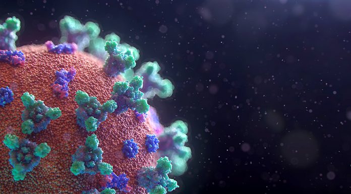 Tatuí tem dois casos suspeitos de coronavírus