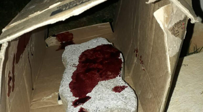 PM prende homem por tentativa de homicídio na v. São Cristóvão