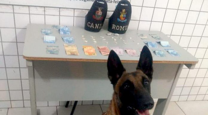 Jovem de 21 é detido com drogas no Jardim Tóquio