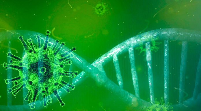 A eficiência na testagem da Covid-19 salva vidas; há dois tipos diferentes
