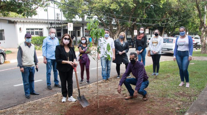 Projeto ‘ARborizAR’ é lançado pelo Dia do Meio Ambiente
