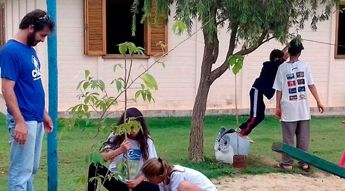 Projeto ‘ARborizAR’ começa nova etapa com chegada da primavera