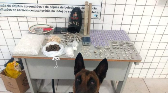 Mais de 500 porções de maconha, crack e cocaína são pegas no ‘SC’