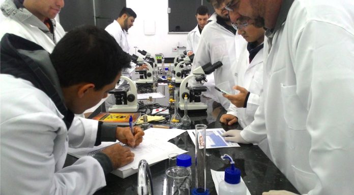 MEC autoriza Faesb a abrir turmas para curso de medicina veterinária