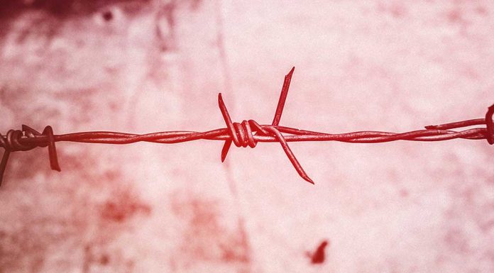 A ética de Aristóteles e as eleições