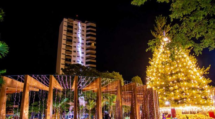 Acendimento do ‘Pinheirão’ marca abertura oficial do Natal Encantado