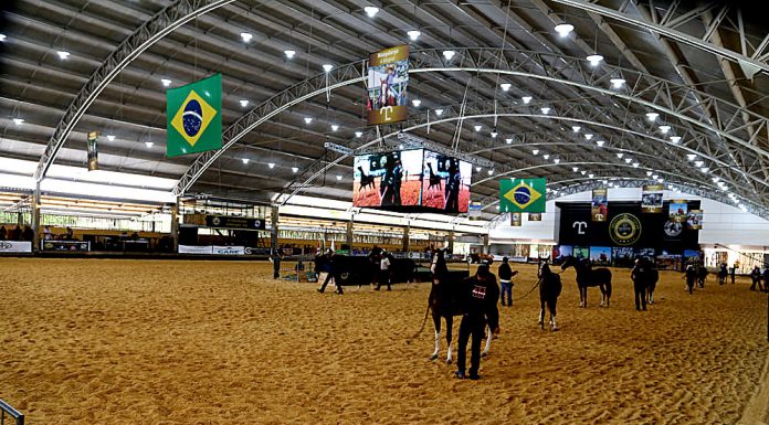 Centro Hípico realiza 42ª Expo Nacional do Cavalo Mangalarga