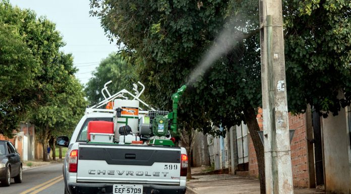 Cidade tem mais de 300 casos de dengue