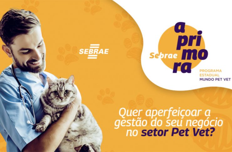 Sebrae realiza capacitação a empresários do ‘mundo pet’