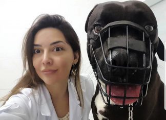 O que fazer quando seu pet dá trabalho durante a pandemia?