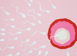 Covid-19 afeta fertilidade de homens! E a vacina?