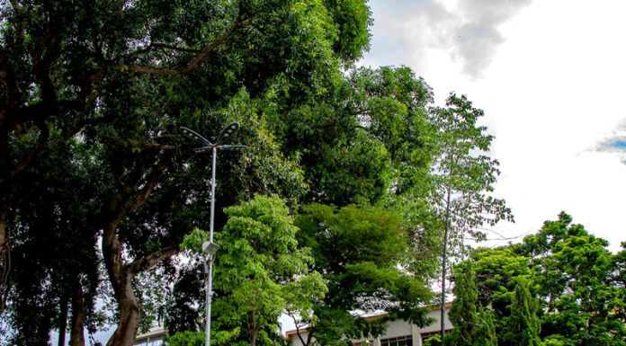 Edição especial da feira ‘Capital da Música’ tem foco no Natal