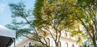 Feira da Matriz recebe artesãos da região em 3 novos estandes