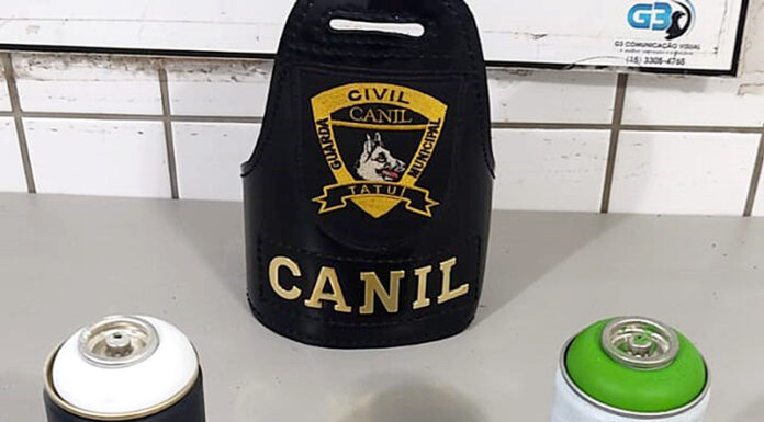 Dois menores são flagrados e levados à PC por pichação