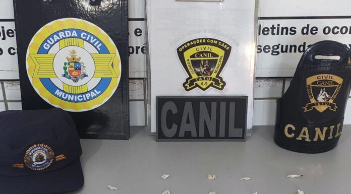 GCM prende 4, apreende 1 e faz 11 atendimentos no início do mês