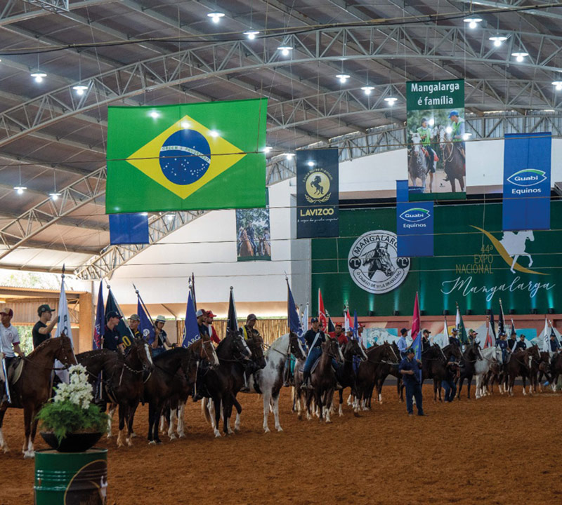 Tatuí recebe exposição de cavalos da raça mangalarga, Itapetininga e  Região