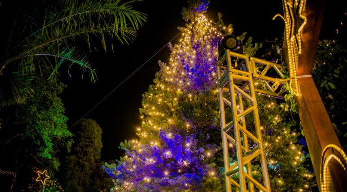 ‘Natal Encantado’ pode atrair público de até 100 mil pessoas
