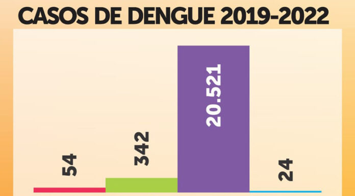 Saúde confirma queda acentuada em 2022 de dengue em Tatuí