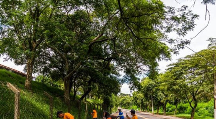 Marginal do Manduca começa a ganhar novas calçadas perto do Sesi