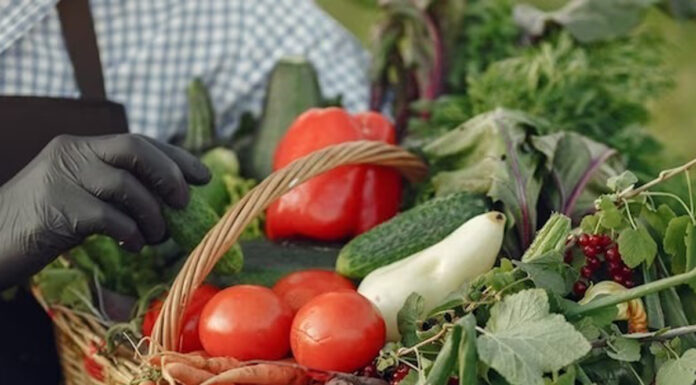 Produtores rurais têm até 31 de março para a entrega da Dipam