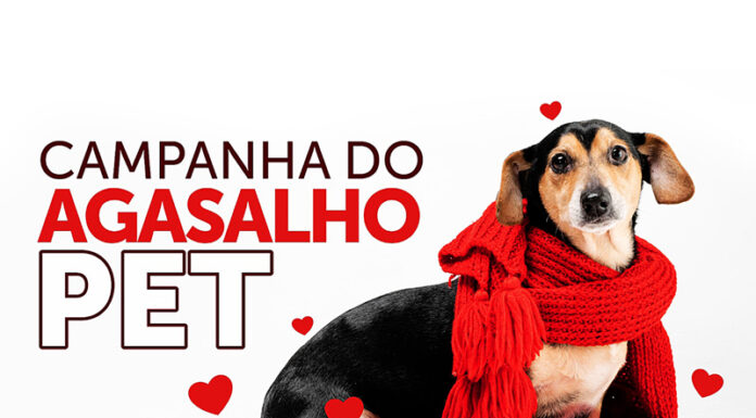 Tatuí faz campanha de agasalho pet para os animais do canil