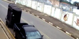 Morre cavalo abandonado em “estado crítico” na Colina Verde, em Tatuí