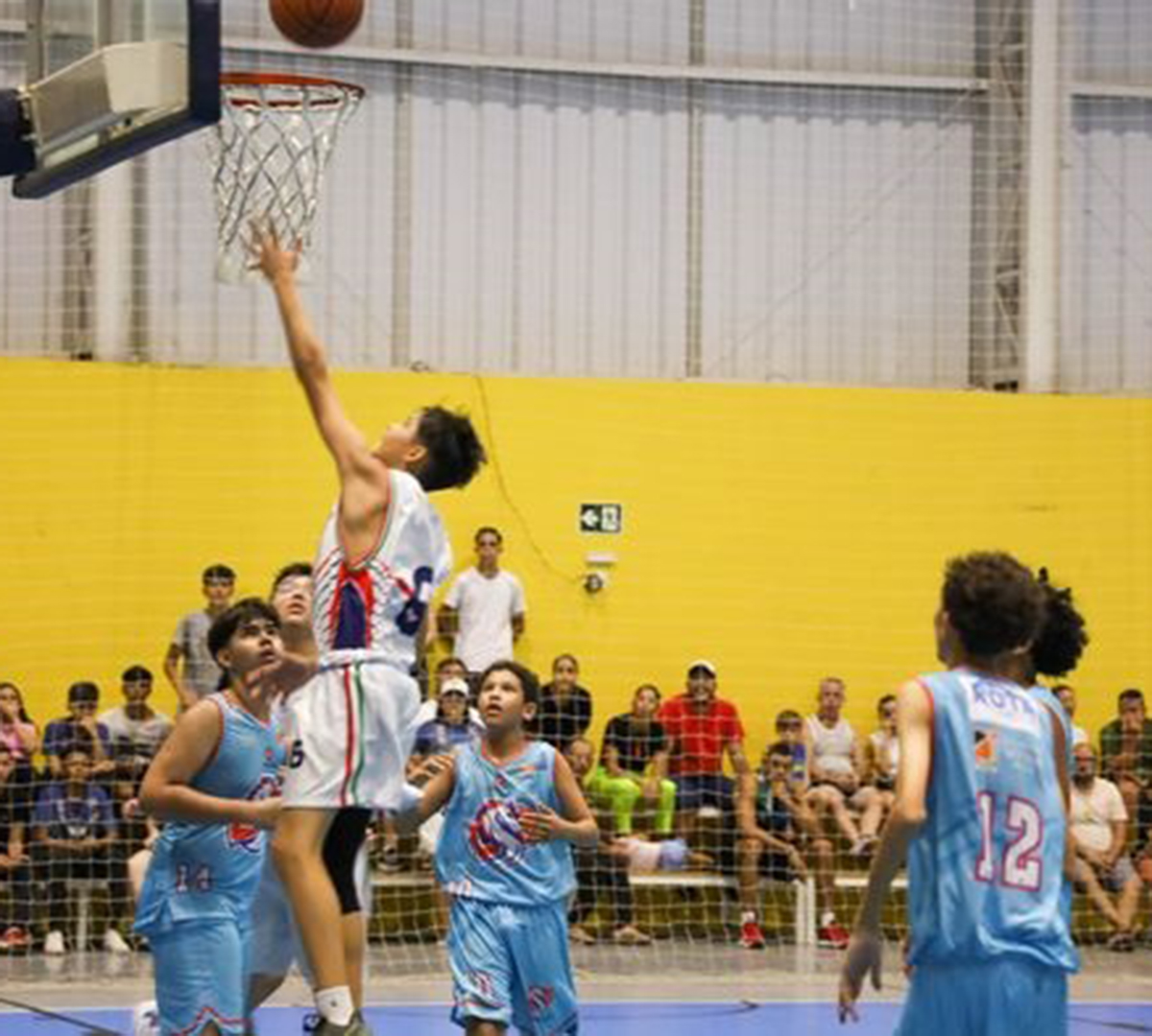 LDP - Basquetebol