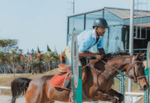 Cidade recebe a principal exposição esportiva do cavalo árabe do Brasil